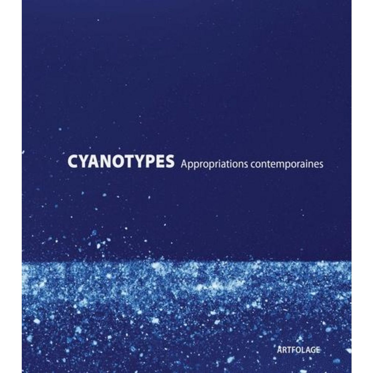CYANOTYPES. APPROPRIATIONS CONTEMPORAINES, Hamm Fabien