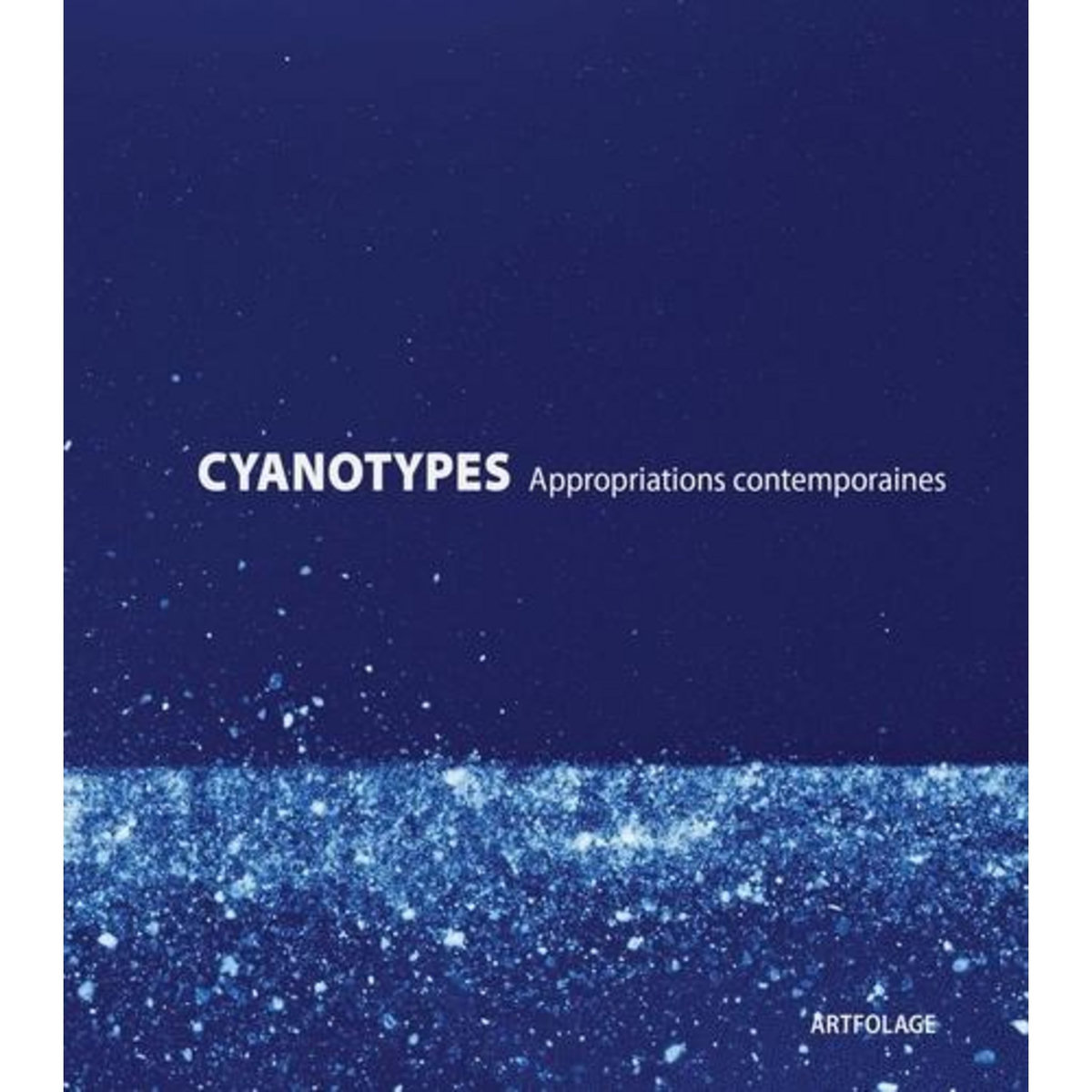 CYANOTYPES. APPROPRIATIONS CONTEMPORAINES, Hamm Fabien