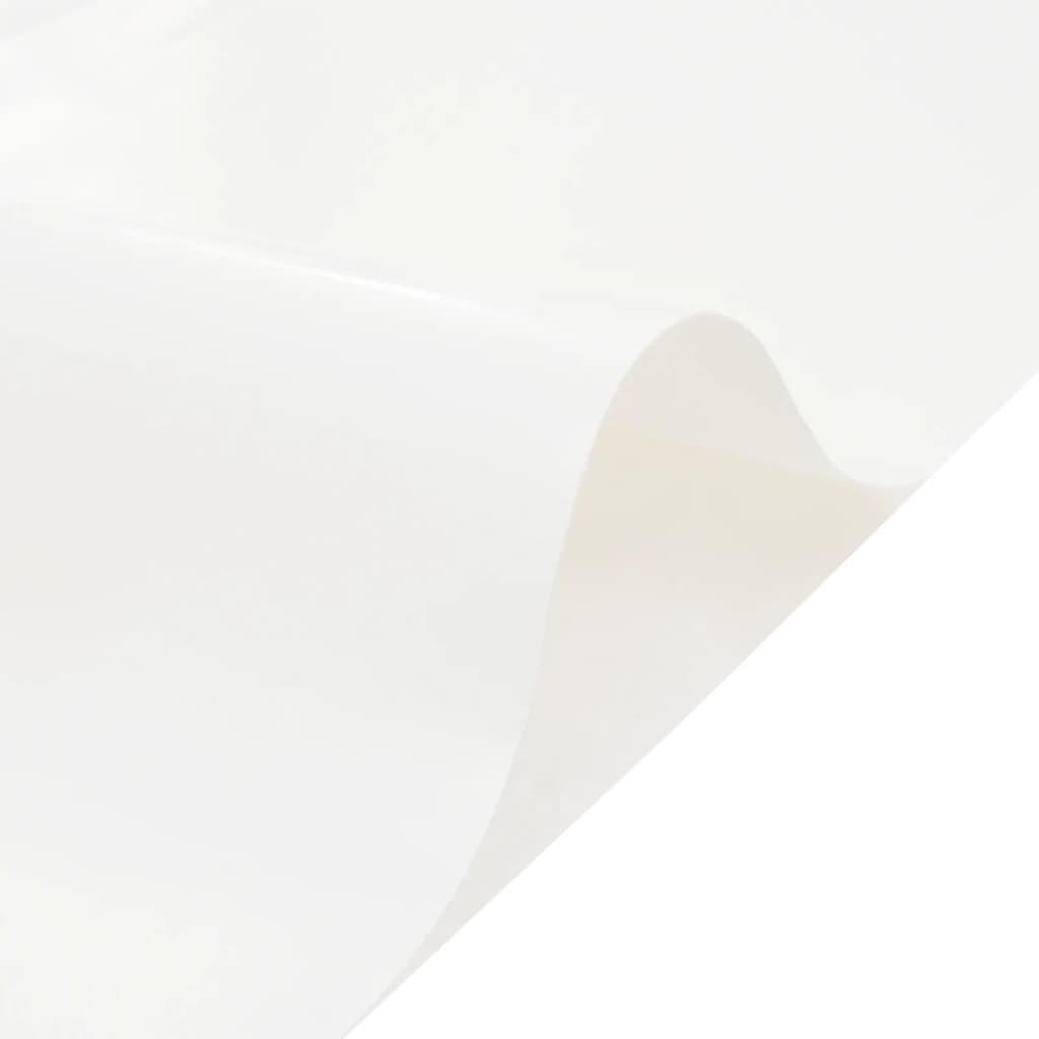 Voir la diapositive 4 : VIDAXL Bache blanc 5x6 m 600 g/m²
