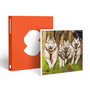 Voir la diapositive 1 : Smartbox Session de Cani-Kart d'1h en famille près de Valence - Coffret Cadeau Sport & Aventure
