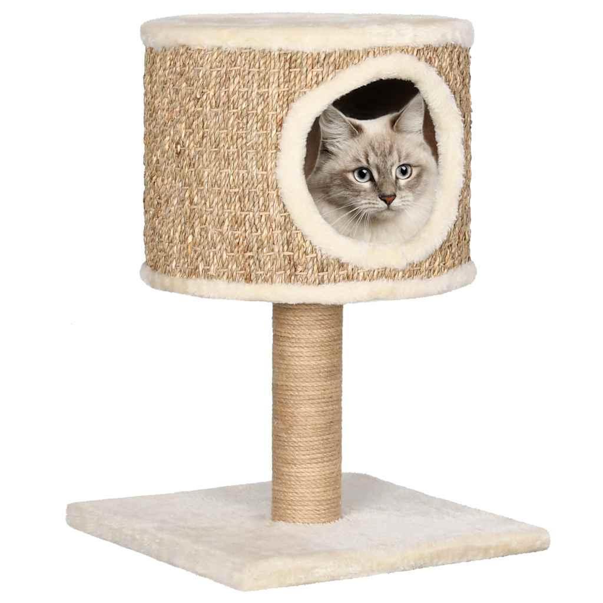 Voir la diapositive 1 : VIDAXL Arbre a chat avec appartement et griffoir 52 cm Herbiers marins