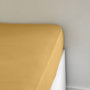 Voir la diapositive 3 : TODAY Drap housse uni en jersey coton ESSENTIAL 
