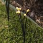Voir la diapositive 3 : Lumisky Lot de 4 torches solaires LYRA Noir Plastique H73cm
