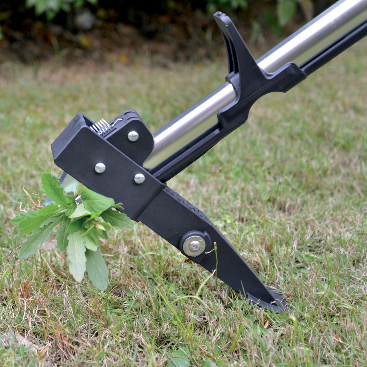 WERKAPRO Désherbeur manuel 3 griffes 98cm WERKA PRO