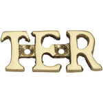 CENTRALE BRICO Lettre ter en laiton poli H.5.1 x l.3.5 cm