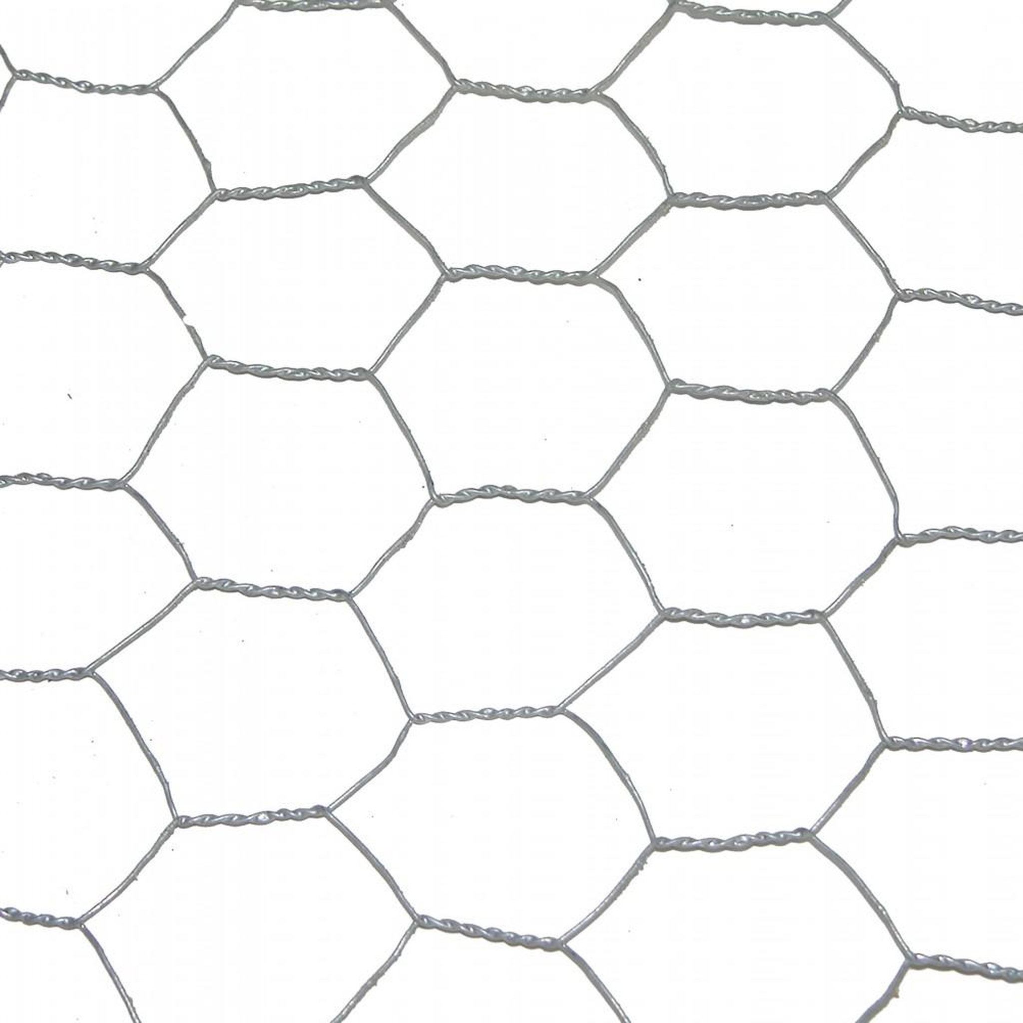 CENTRALE BRICO Grillage pour animaux triple torsion gris, H.0.5 x L.10 m, maille H.25 x l.25 mm