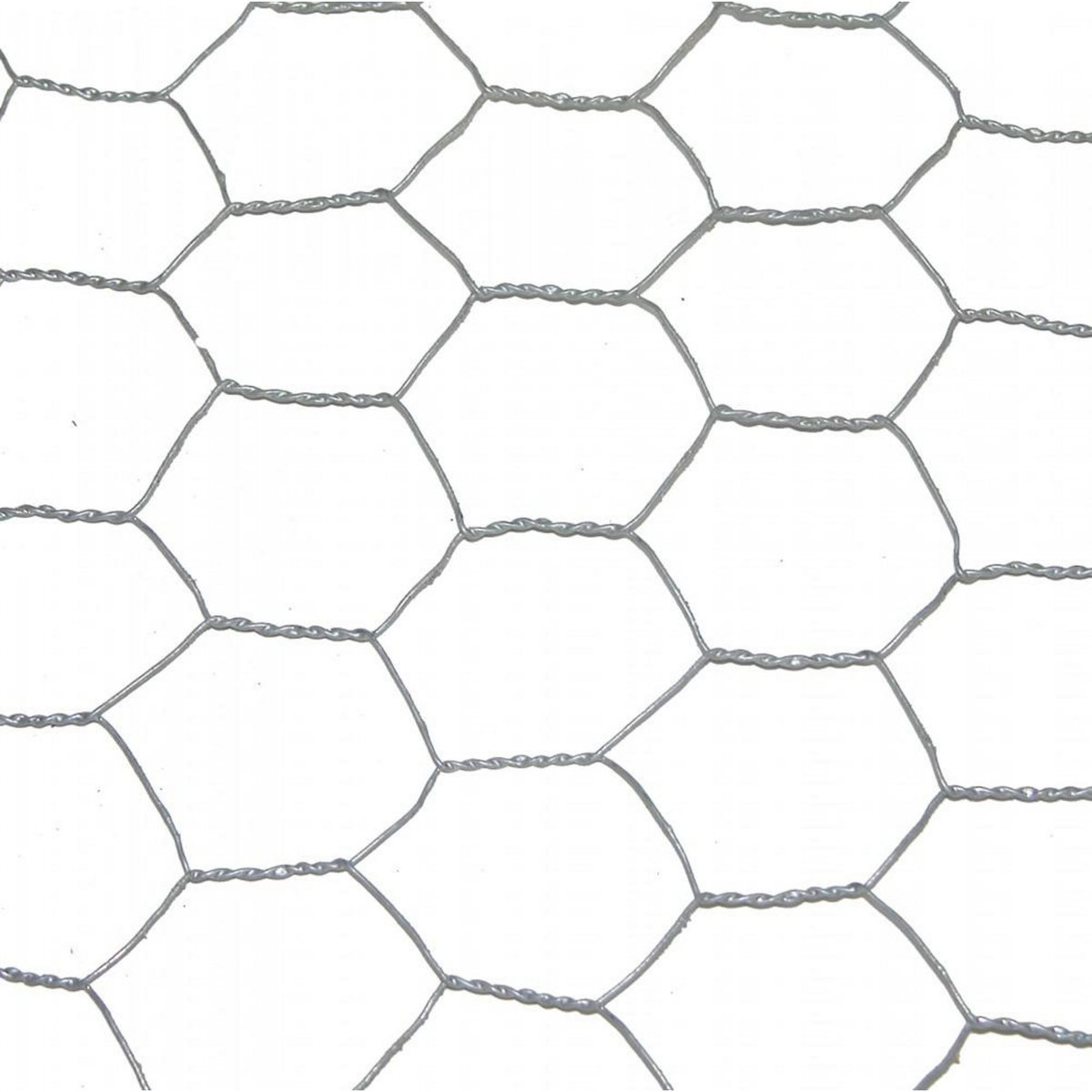 CENTRALE BRICO Grillage pour animaux triple torsion gris, H.0.5 x L.10 m, maille H.25 x l.25 mm