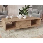 BEST MOBILIER Diego - table basse - effet bois - 2 niches - 120 cm. Coloris disponibles : Marron