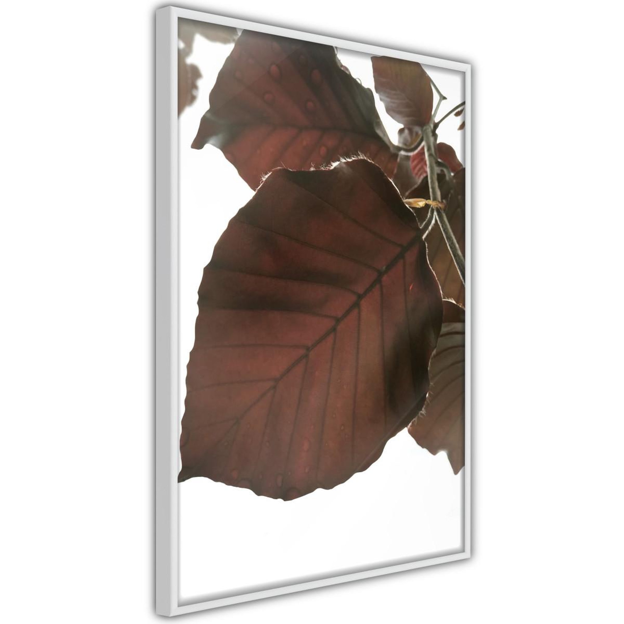 Paris Prix Affiche Murale Encadrée  Burgundy Tilia Leaf