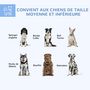 Voir la diapositive 4 : PAWHUT Chenil pour chien entièrement couvert - enclos chien - dim. 210L x 185l x 120H cm - porte verrouillable - acier galvanisé gris