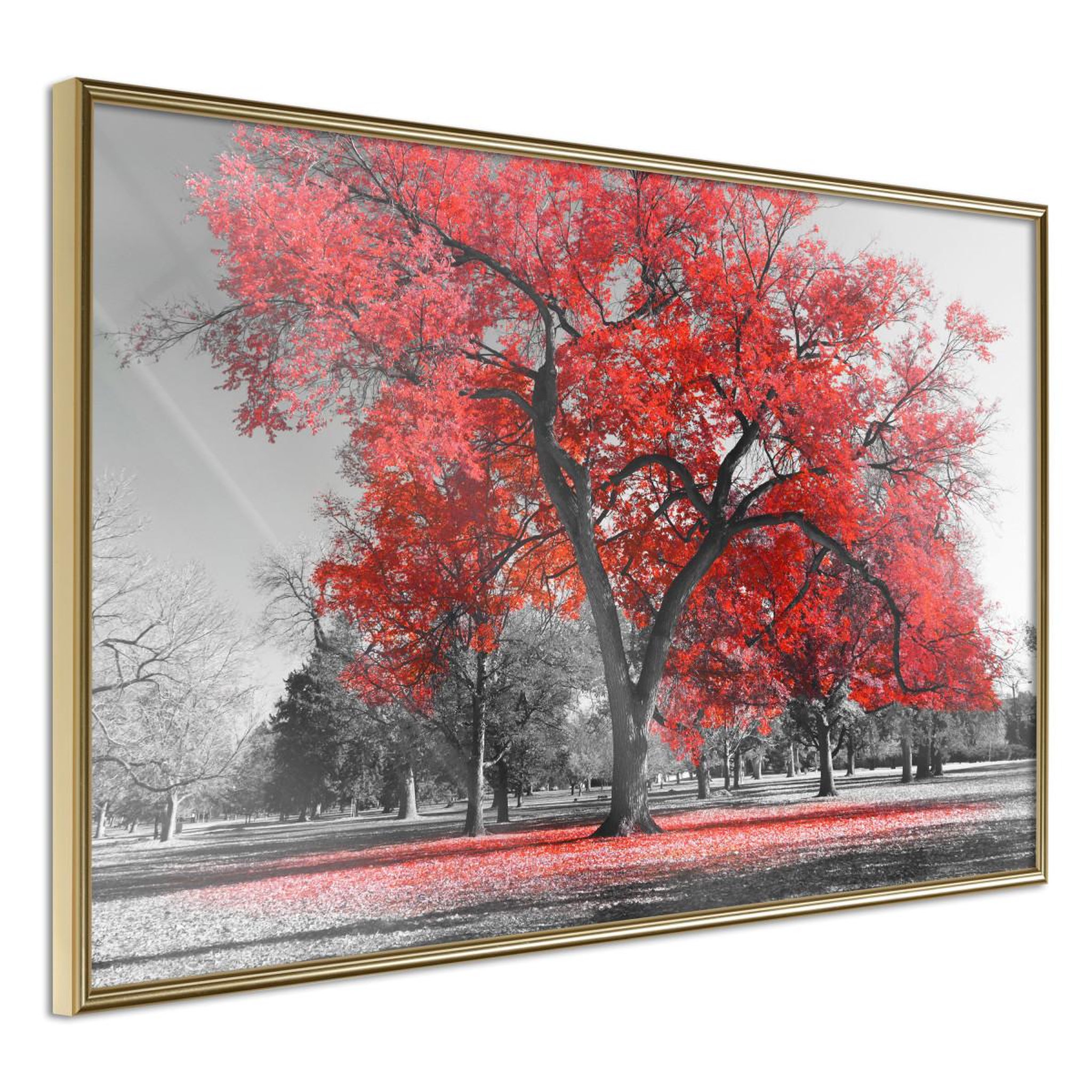 Voir la diapositive 1 : Paris Prix Affiche Murale Encadrée  Red Tree
