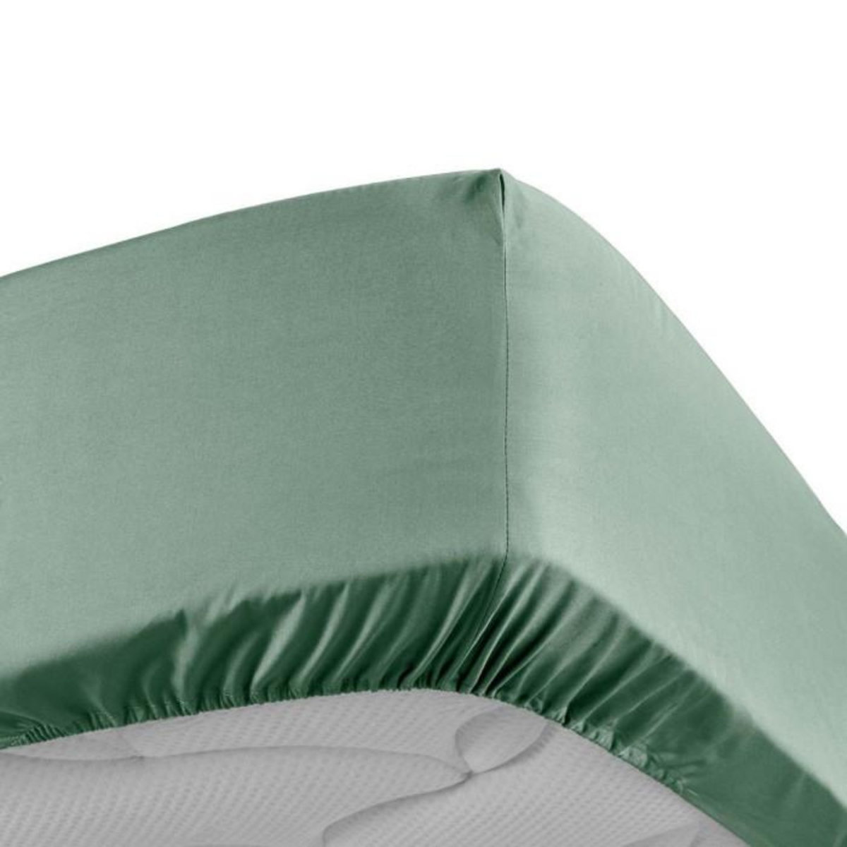 Paris Prix Drap Housse  Percaline  90x190cm Tilleul