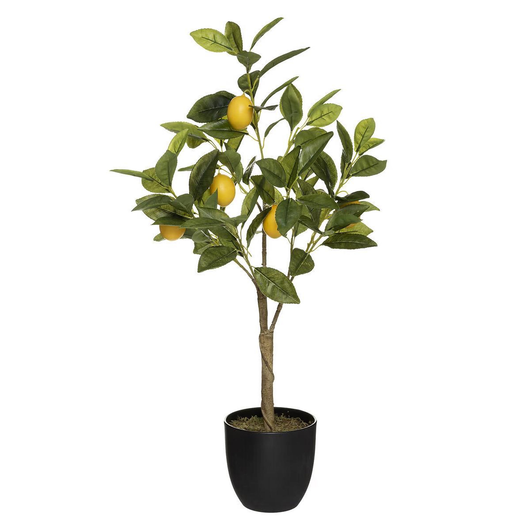 ATMOSPHERA Plante artificielle  citronnier  73cm multicolore