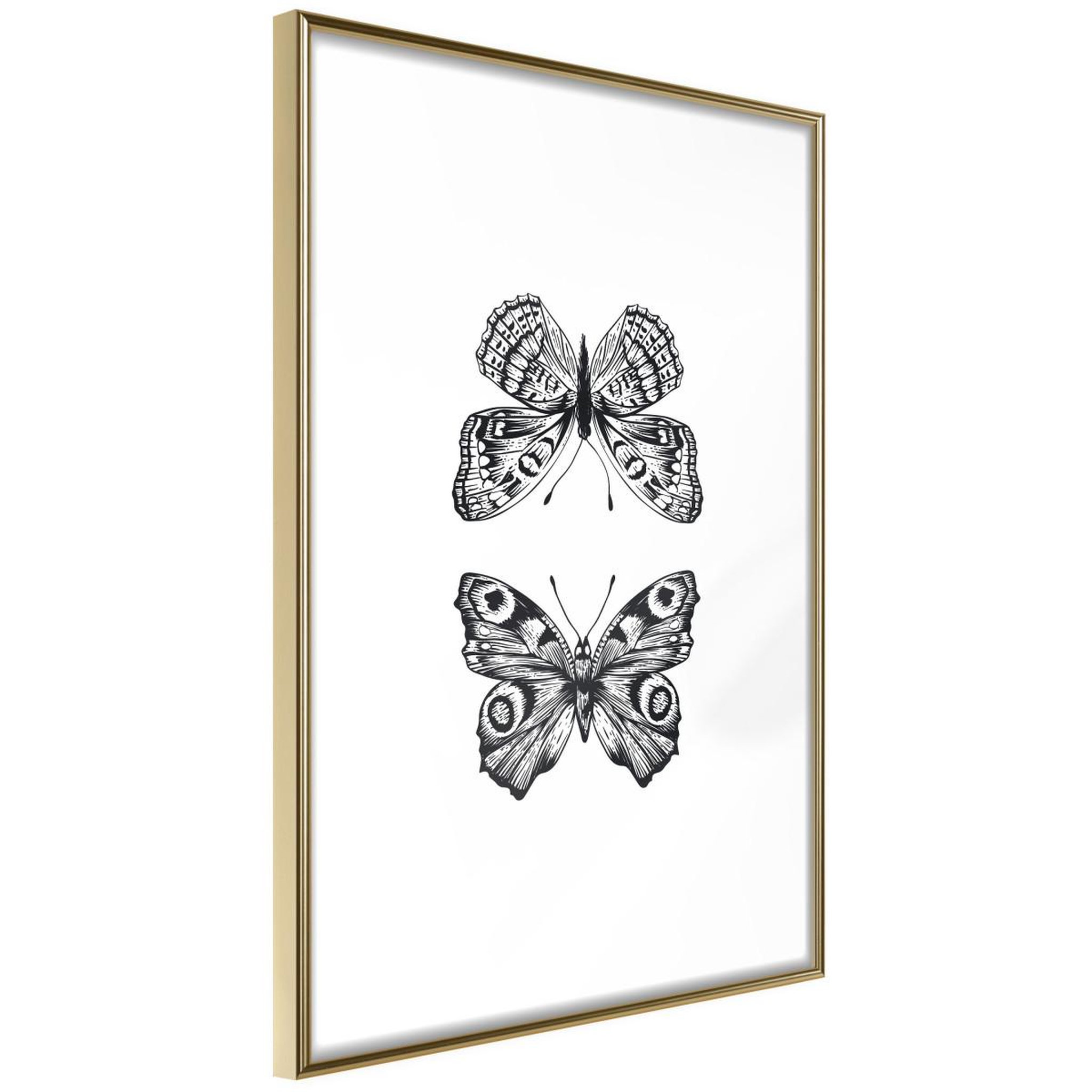 Paris Prix Affiche murale encadrée  butterfly collection i