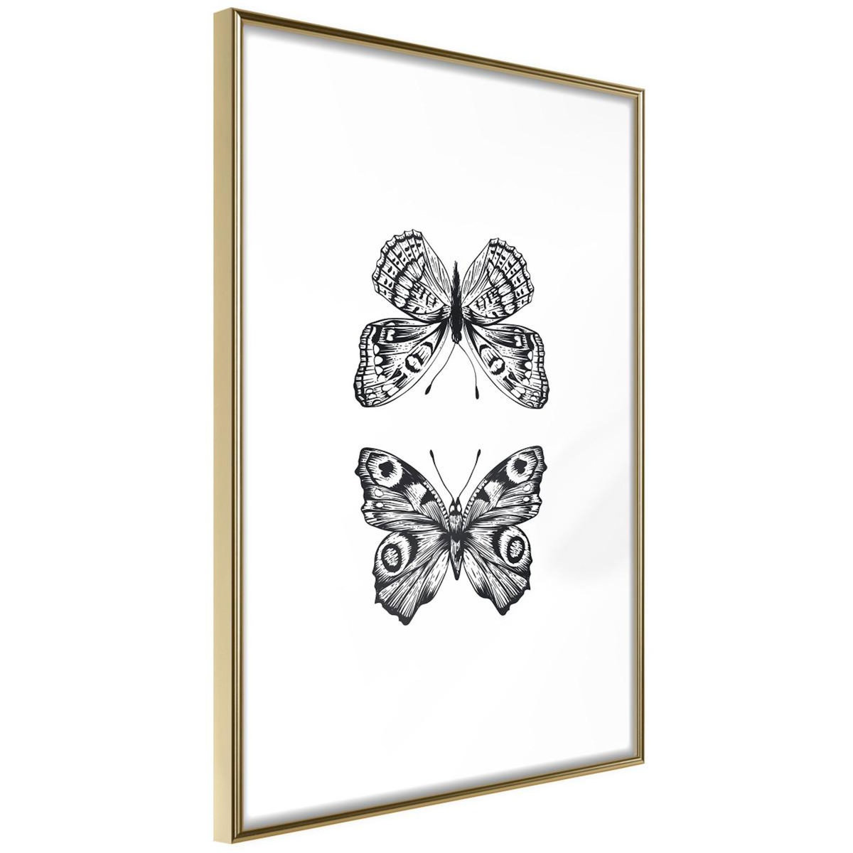 Paris Prix Affiche Murale Encadrée  Butterfly Collection I