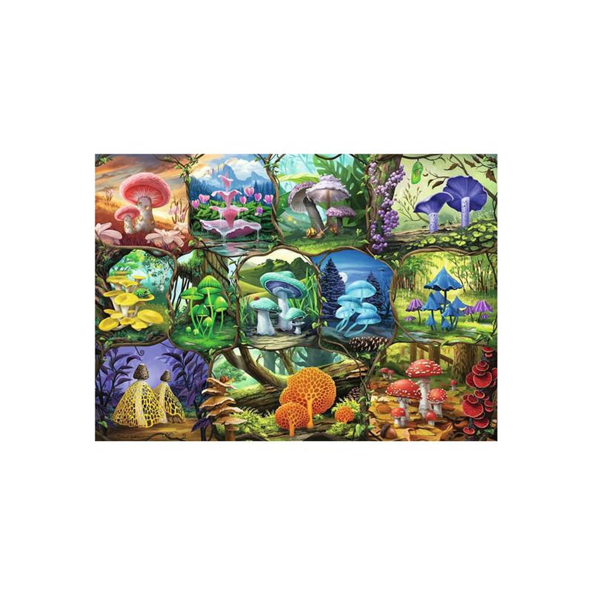 Voir la diapositive 2 : RAVENSBURGER Ravensburger - Jigsaw puzzle Beautiful Mushrooms, 1000 pcs. 120004240