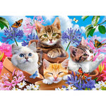 Castorland Puzzle 500 pièces : Chatons avec des Fleurs