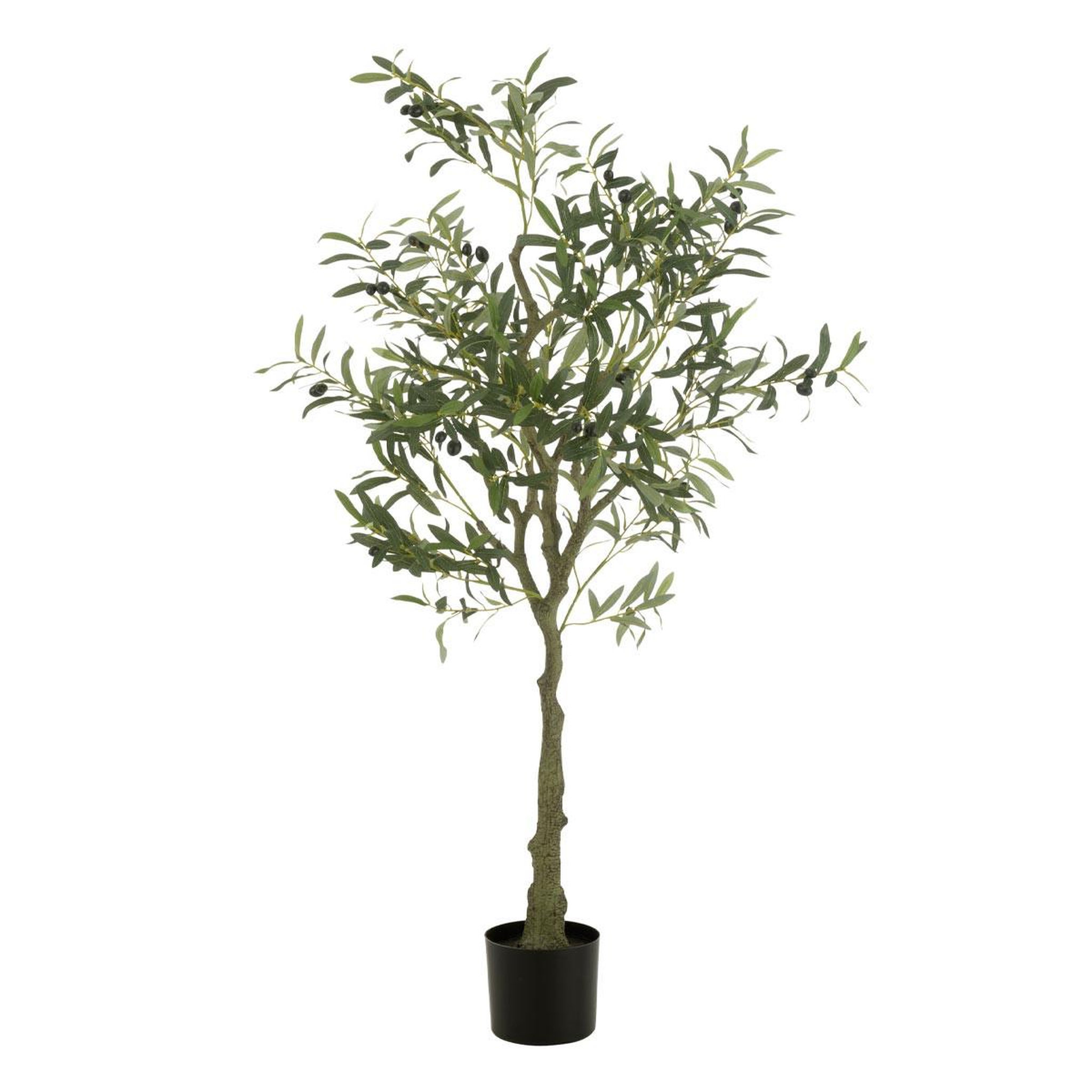 J-LINE Plante Artificielle en Pot  Olivier  150cm Vert