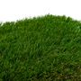 Voir la diapositive 2 :  Gazon artificiel épaisseur 4 cm Werkapro 1 x 10 mètres  soit: 10m2