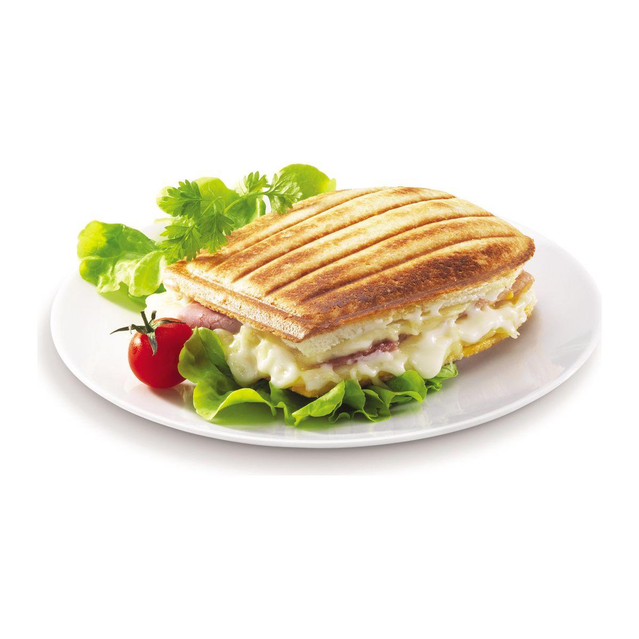 Voir la diapositive 3 : TEFAL Plaque XA800112 - croque snack collection