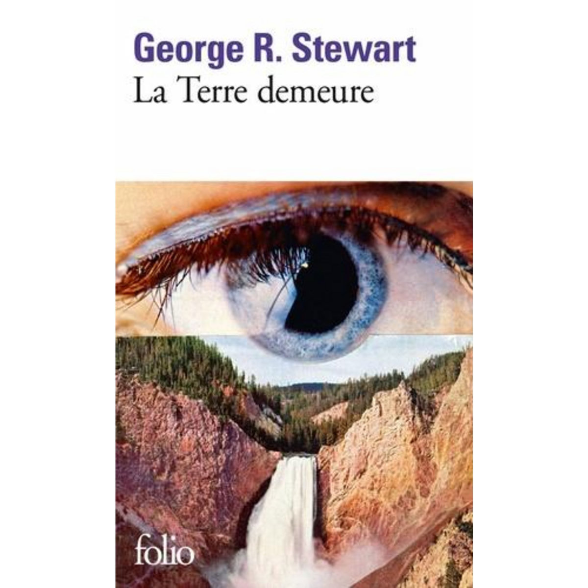 LA TERRE DEMEURE, Stewart George