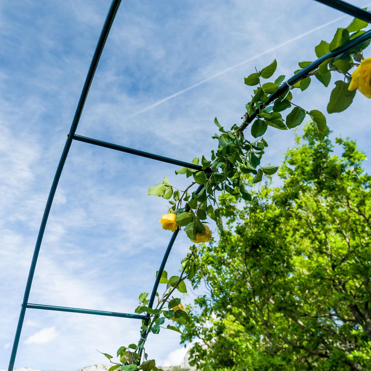  Gloriette en métal WERKA PRO  240x140x37cm