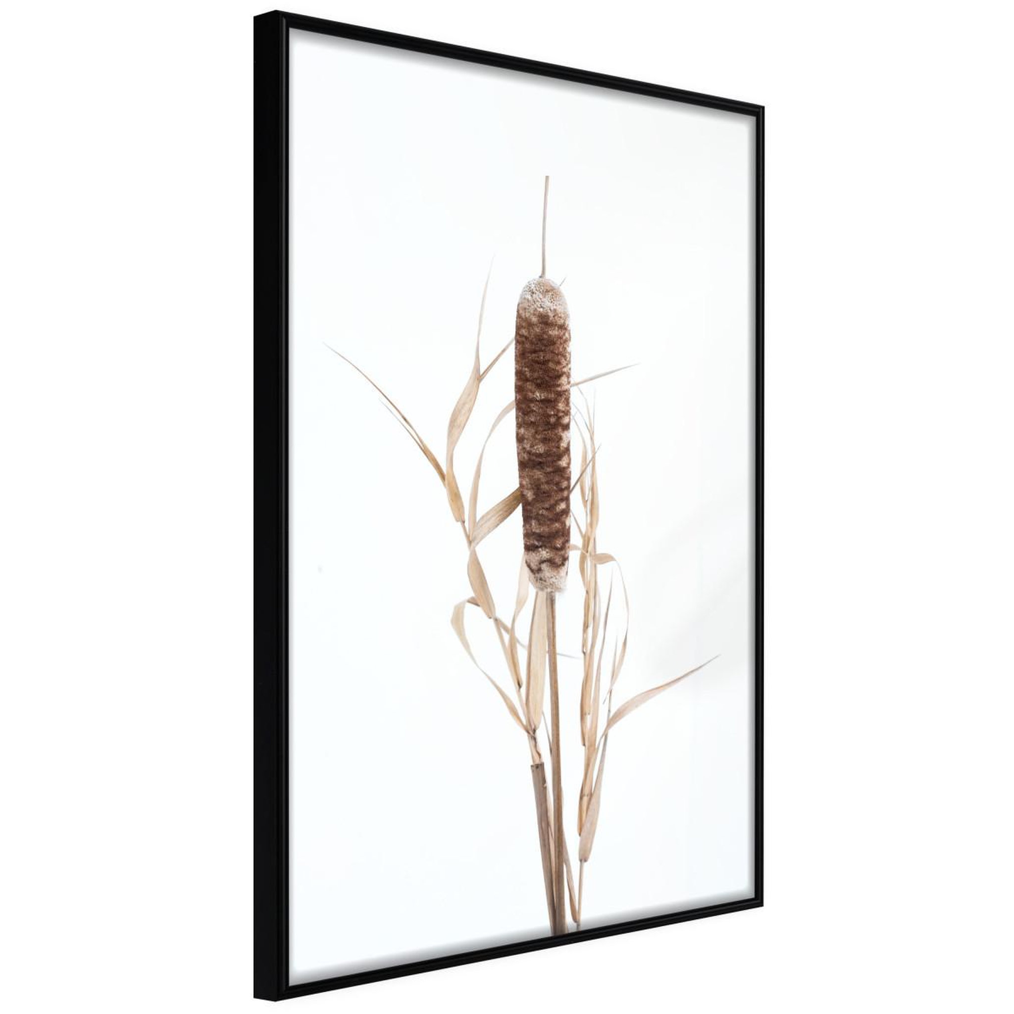 Paris Prix Affiche Murale Encadrée  Typha