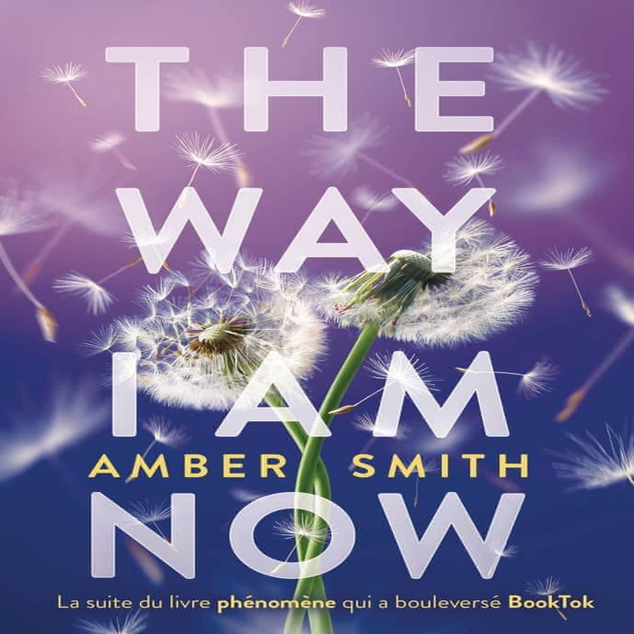 THE WAY I AM NOW, Smith Amber