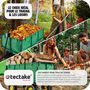 Voir la diapositive 4 : tectake Chariot de jardin et de transport avec des parois latérales rabattables vert