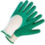 Voir la diapositive 1 : ROSTAING Gants épineux souple vert t8
