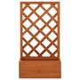 Voir la diapositive 2 : VIDAXL Jardiniere a treillis de jardin Orange 50x25x90cm Bois de sapin