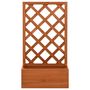 Voir la diapositive 2 : VIDAXL Jardiniere a treillis de jardin Orange 50x25x90cm Bois de sapin