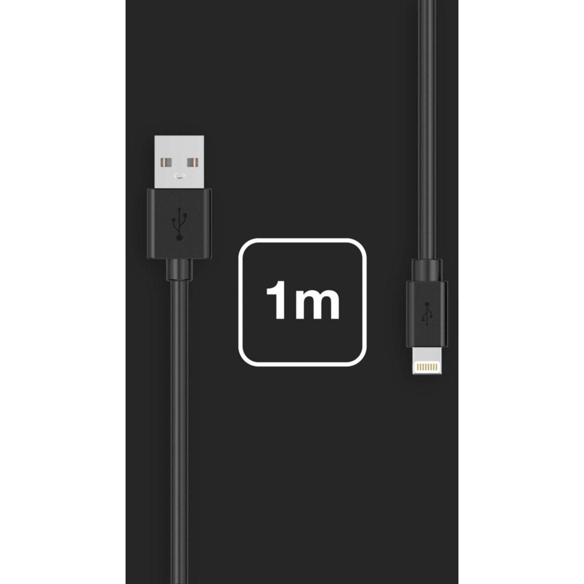 ESSENTIEL B Câble Lightning vers USB 1M certifié Apple Noir