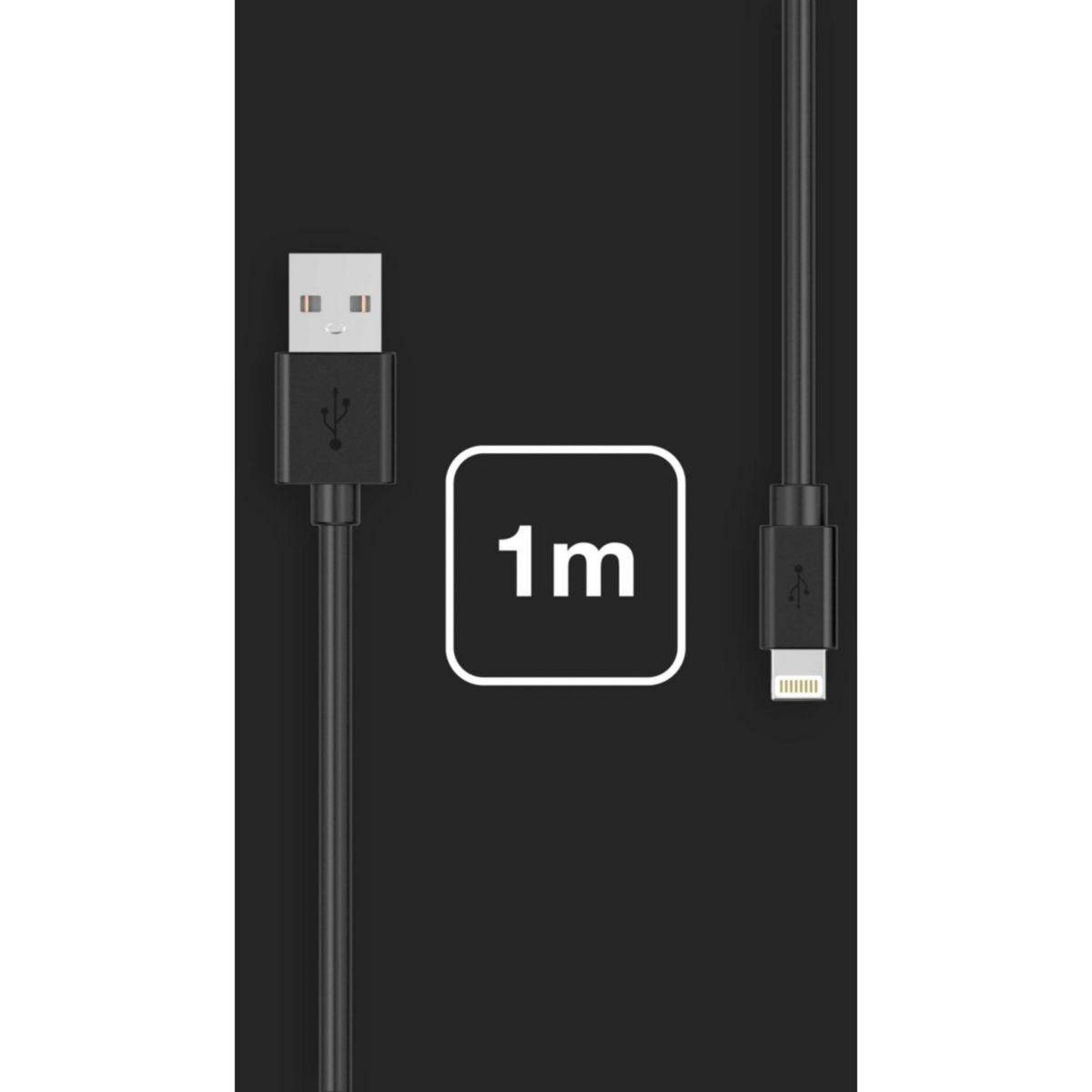 ESSENTIEL B Câble Lightning vers USB 1M certifié Apple Noir