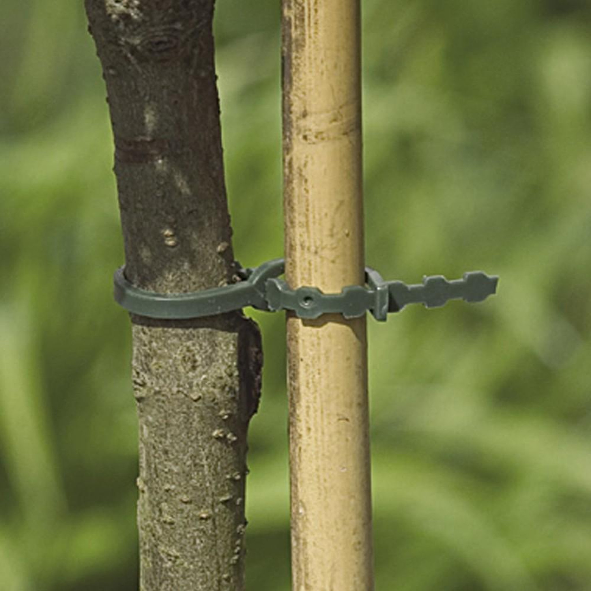 Nortene Lot de 40 liens pour arbres NORTENE, 0 g/m², 0.15 m