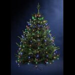 FEERIC LIGHT & CHRISTMAS Guirlande de Noël  Copp Pluie II  165cm Multicolore