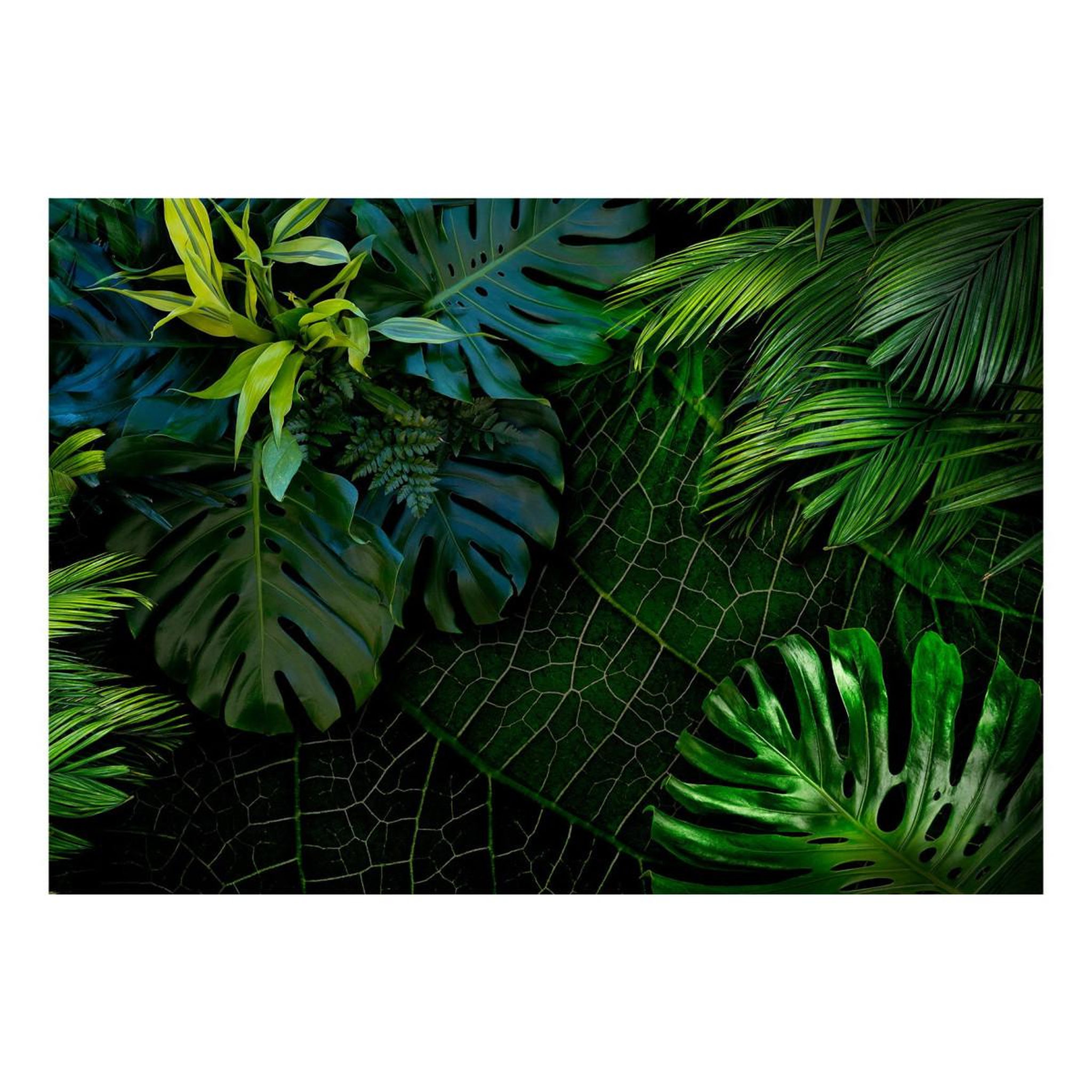 Voir la diapositive 2 : Paris Prix Papier Peint  Dark Jungle