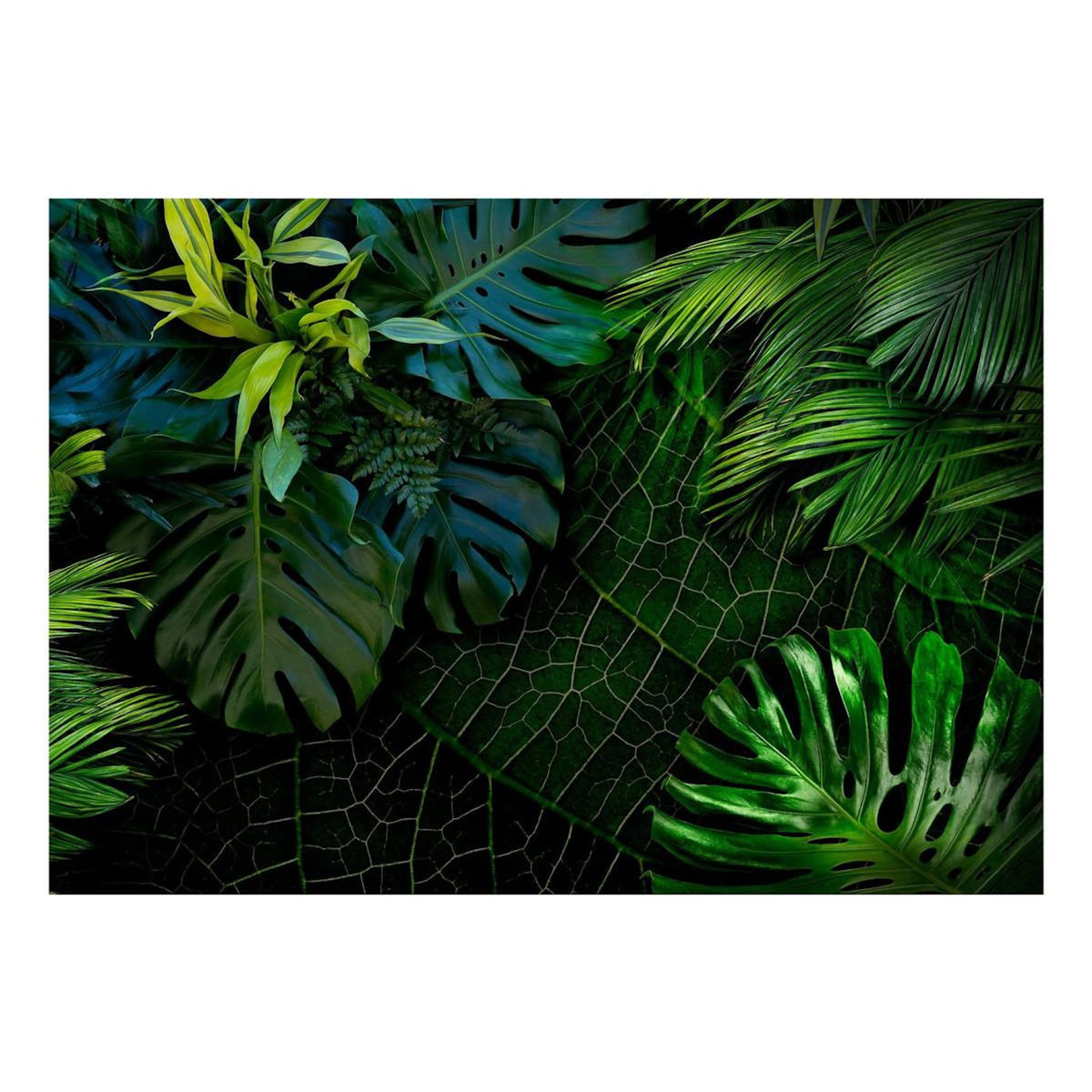 Paris Prix Papier Peint  Dark Jungle