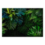 Voir la diapositive 2 : Paris Prix Papier Peint  Dark Jungle