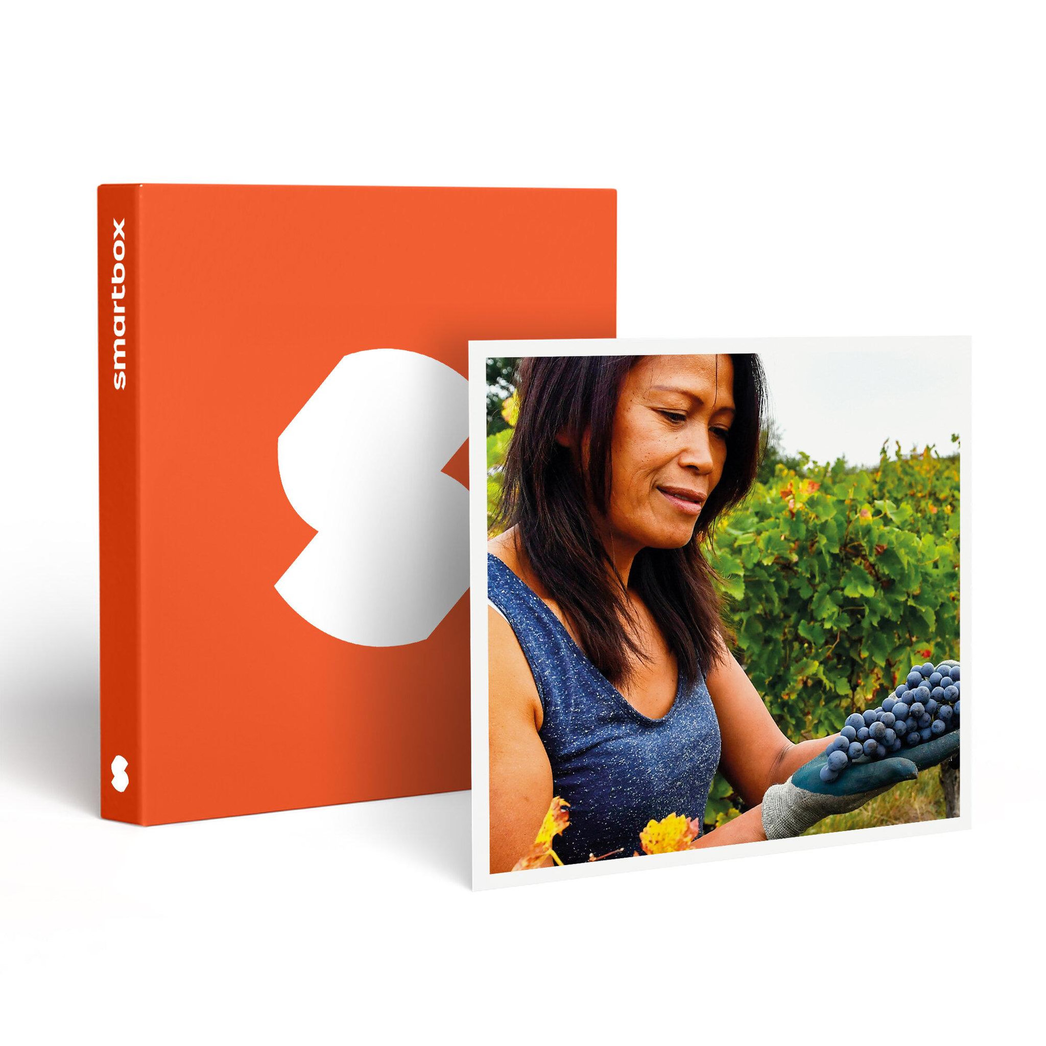 Smartbox Découverte de vignes biodynamiques avec dégustation de vins en gironde - coffret cadeau sport & aventure