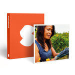 Smartbox Découverte de vignes biodynamiques avec dégustation de vins en Gironde - Coffret Cadeau Sport & Aventure