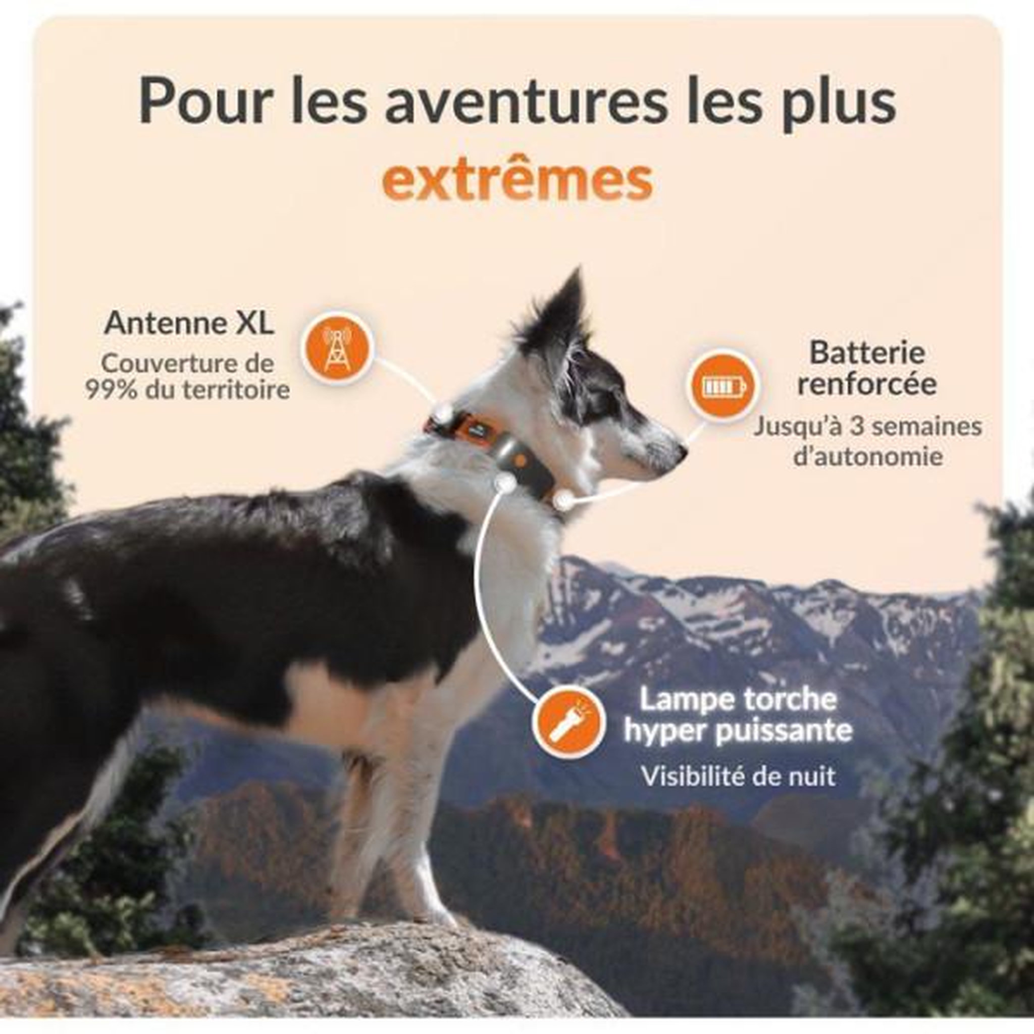 Voir la diapositive 2 : WEENECT Traceur gps pour chien sans collier - weenect - chien xt - antenne xl - etanche - fonctionne avec abonnement
