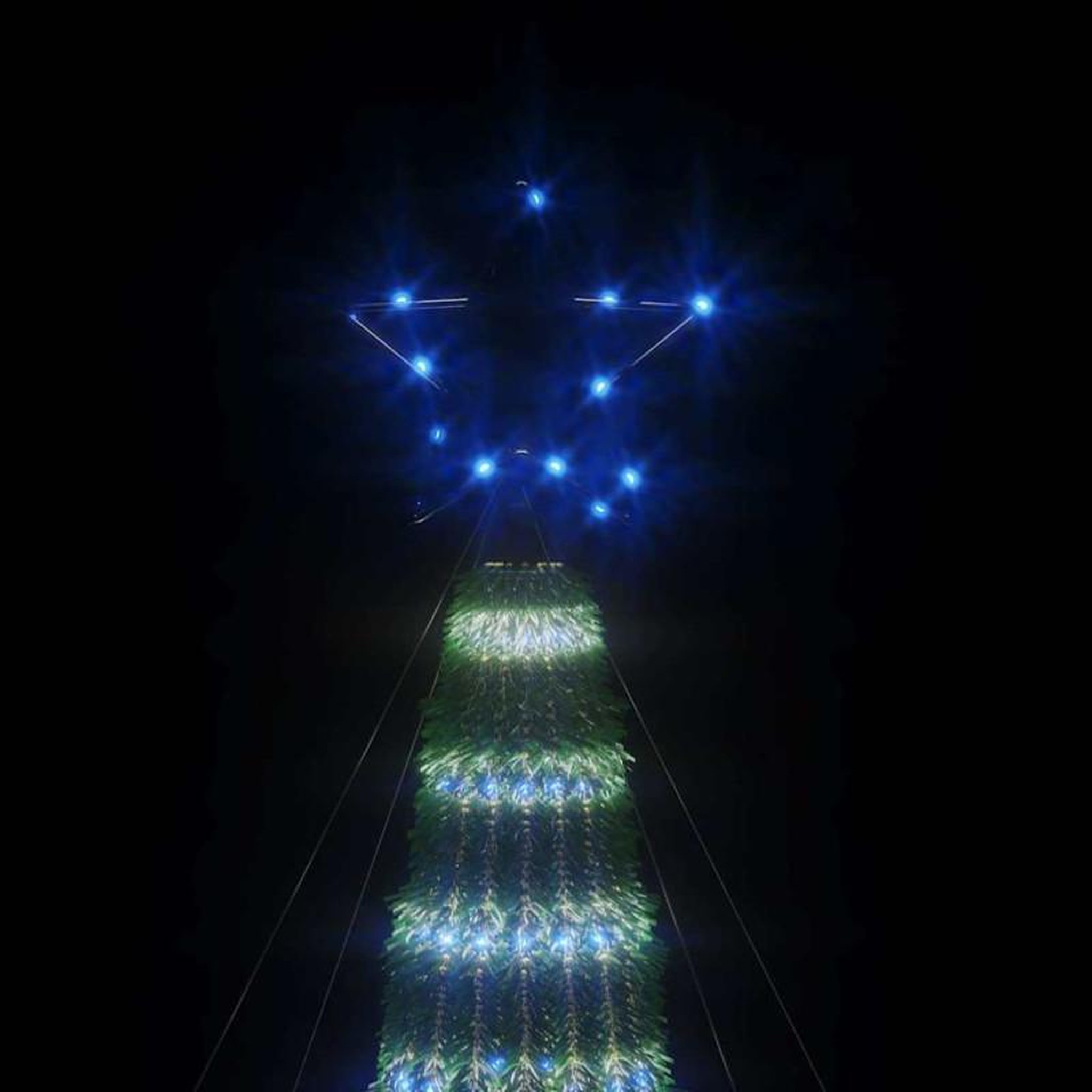 Voir la diapositive 6 : VIDAXL Sapin de Noël à LED 275 LED bleu 180 cm