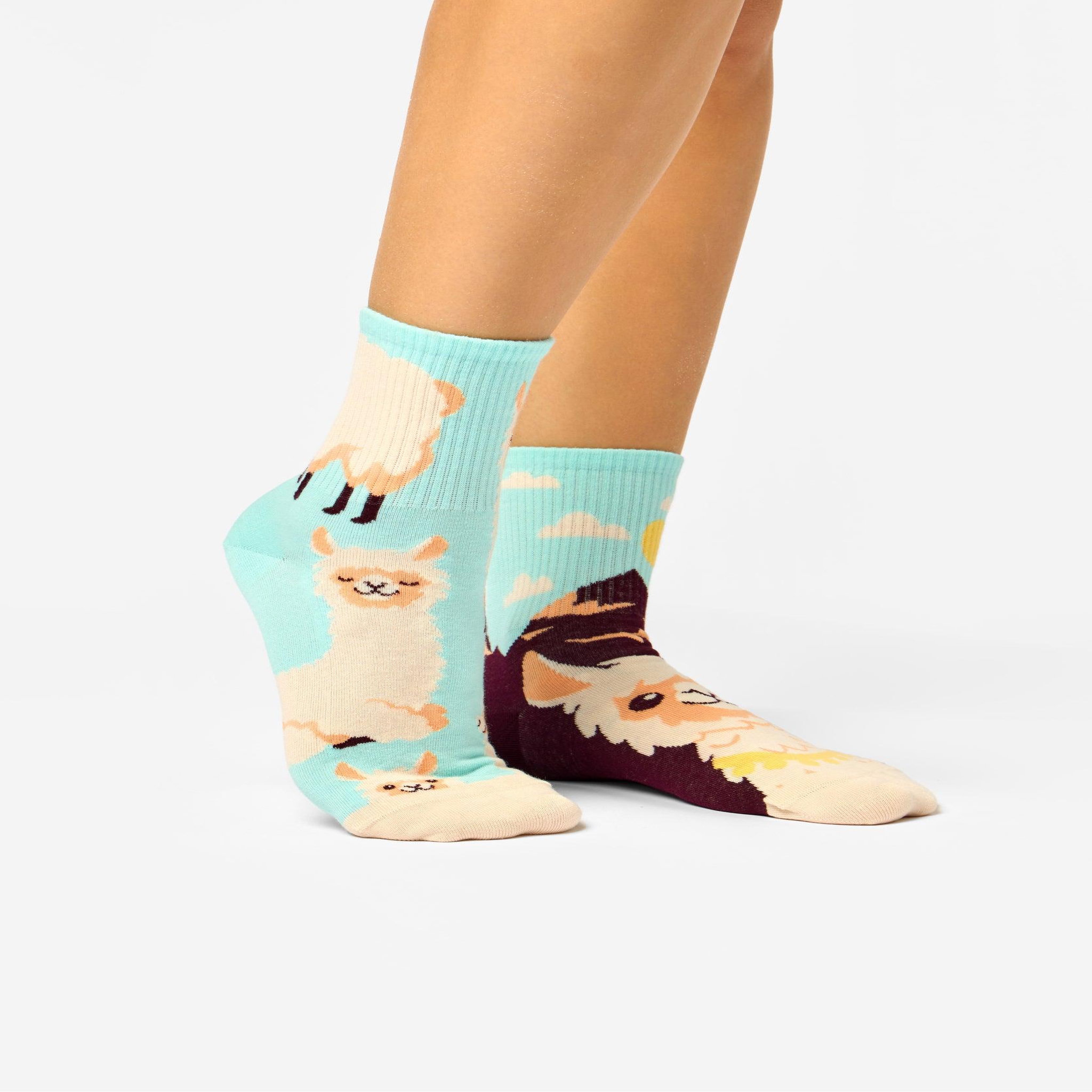 Voir la diapositive 2 : DEDOLES Chaussettes courtes alpaga