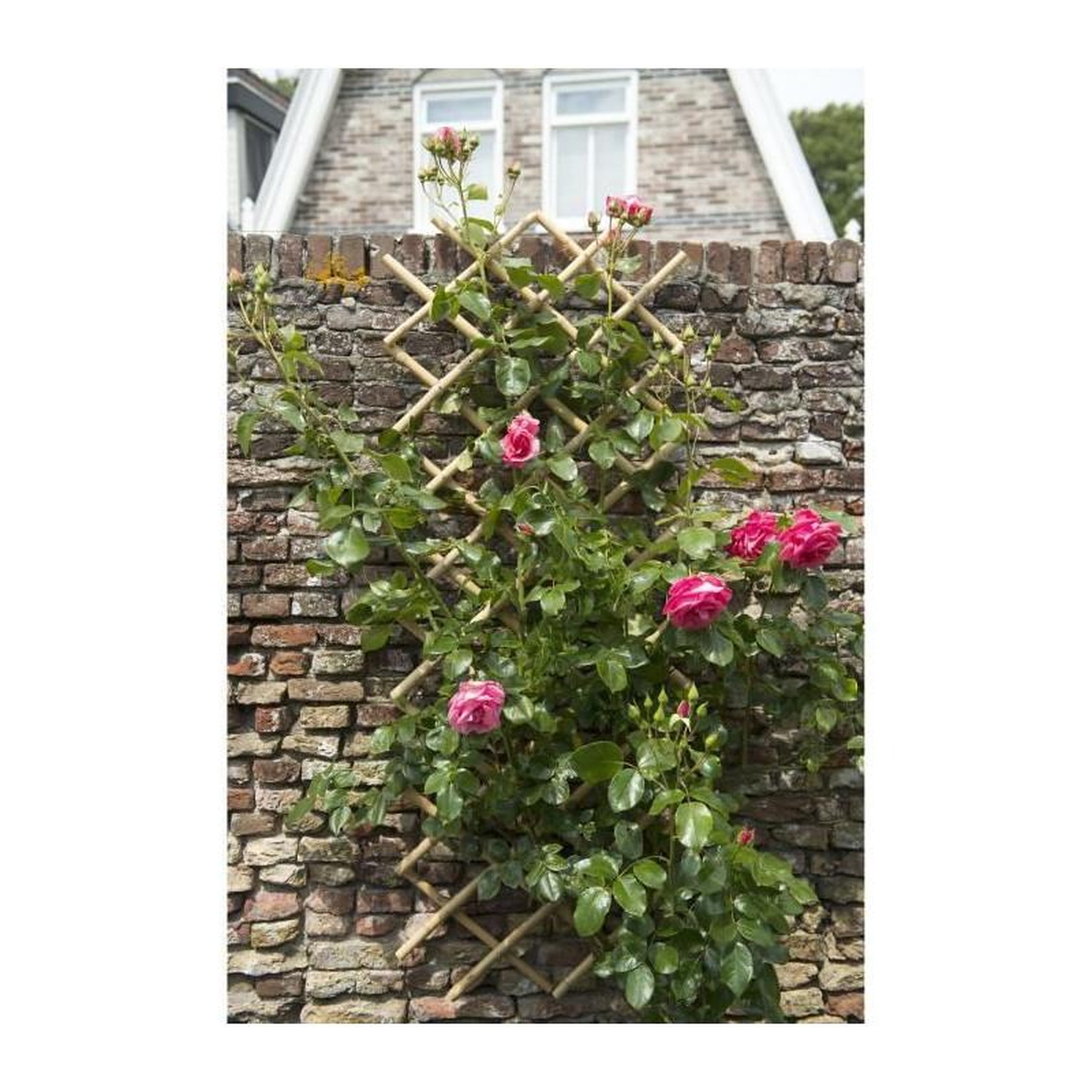 Voir la diapositive 3 : NATURE NATURE Treillis extensible en bambou 45x180cm - Marron