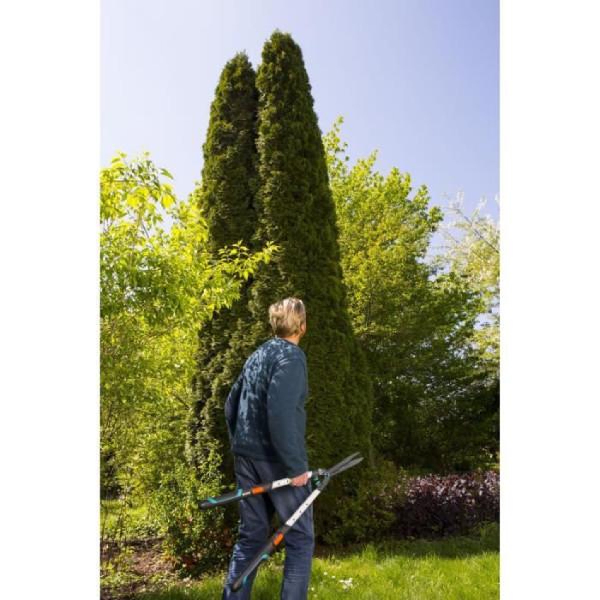 Voir la diapositive 3 : Gardena Cisaille a haies EasyCut GARDENA - Lames ondulées - Manches télescopiques - Garantie 25 ans