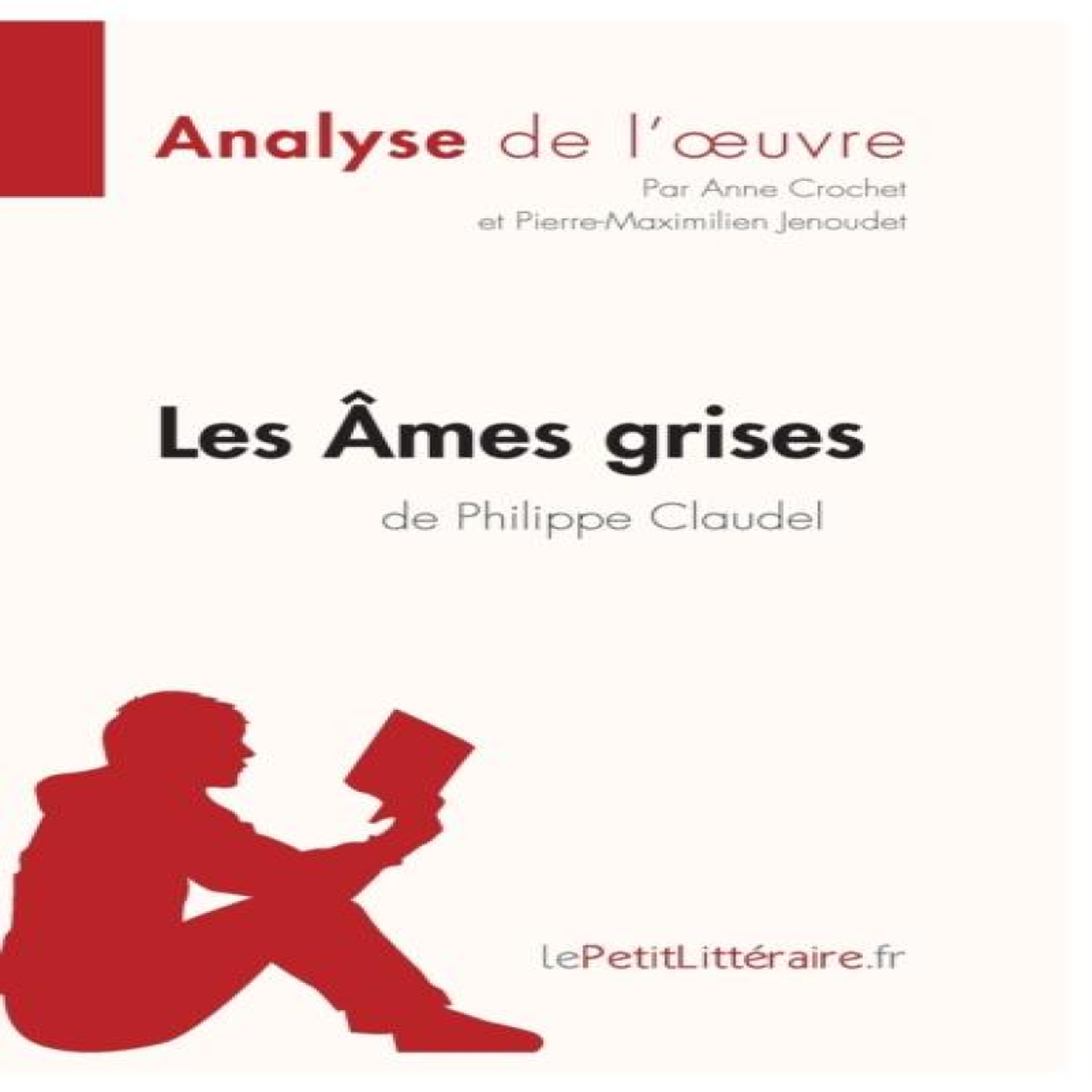 LIVRES Les Ãmes grises de Philippe Claudel (Analyse de l'oeuvre):Analyse complÃ¨te et rÃ©sumÃ© dÃ©taillÃ© de l'oeuvre