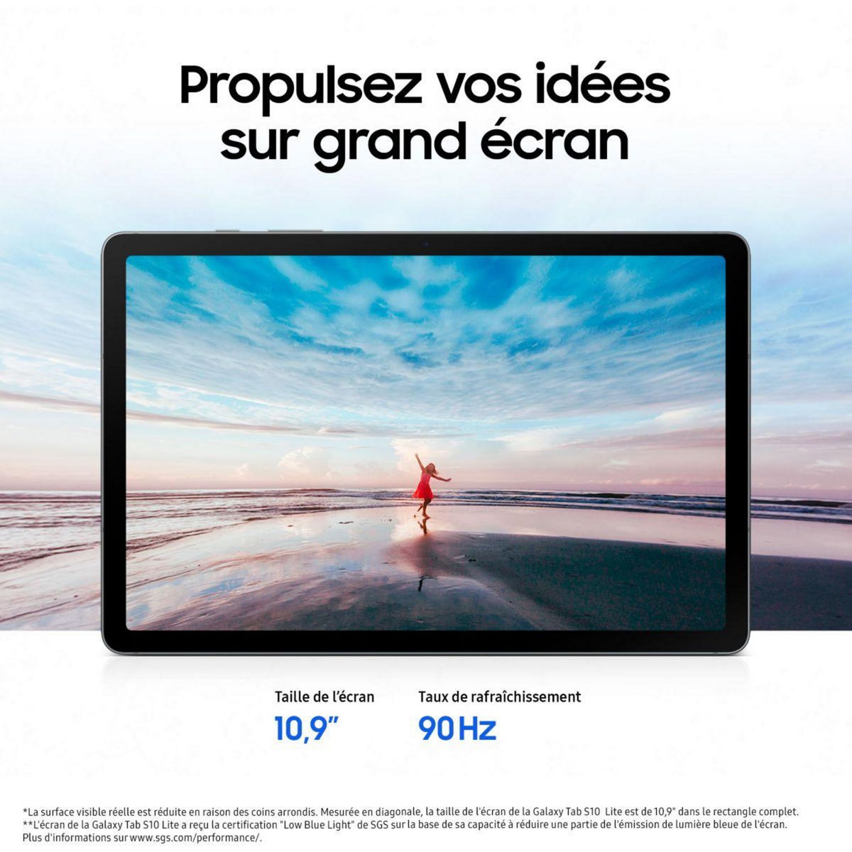 Samsung Tablette Android Galaxy Tab S10 Lite 10.9 5G 128Go Gris avec Galaxy IA