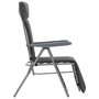 Voir la diapositive 5 : VIDAXL Chaises pliables de jardin avec coussins lot de 2 Gris