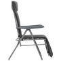 Voir la diapositive 5 : VIDAXL Chaises pliables de jardin avec coussins lot de 2 Gris